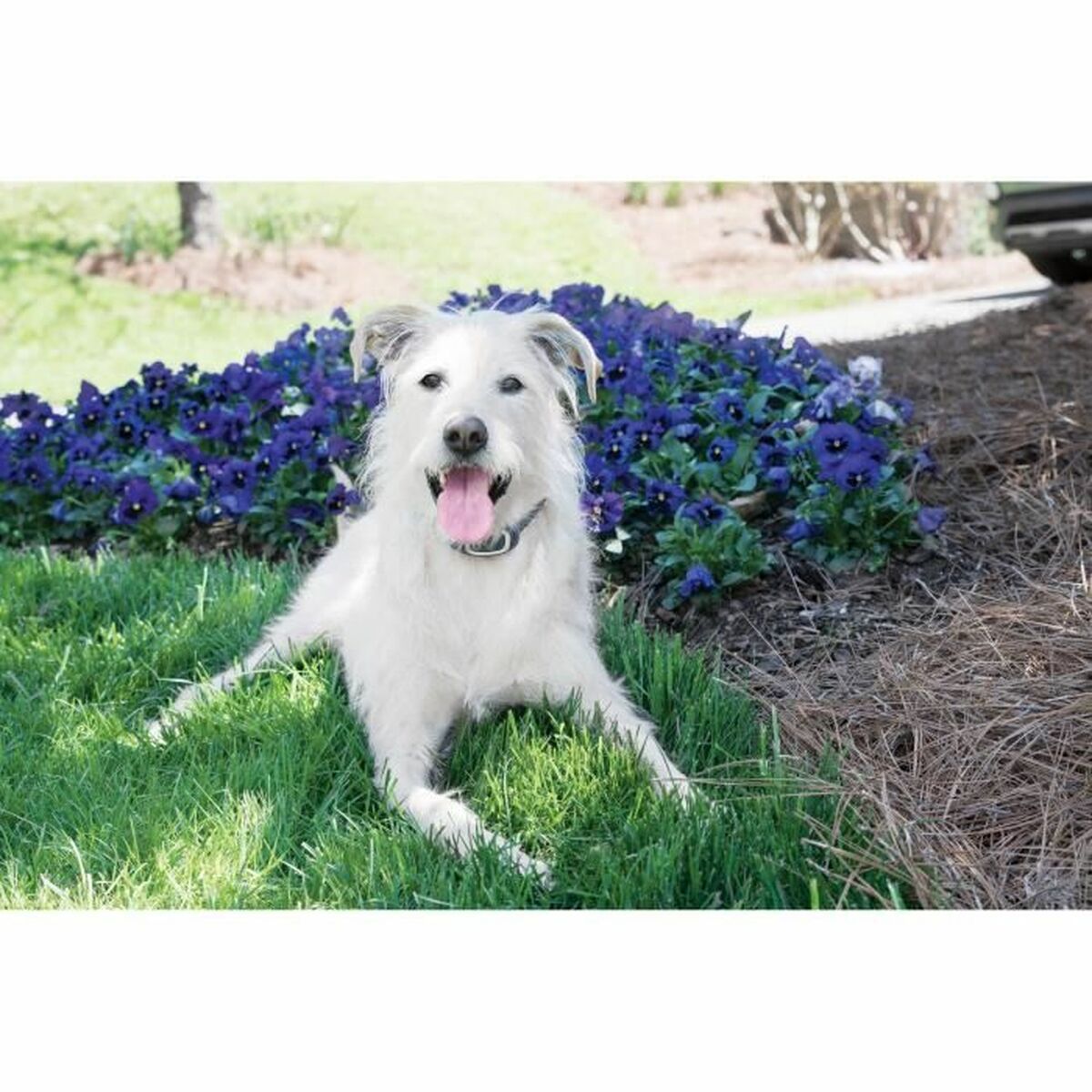 V3HED64785AF067A08268284CB13A6FA40DR5763546P6