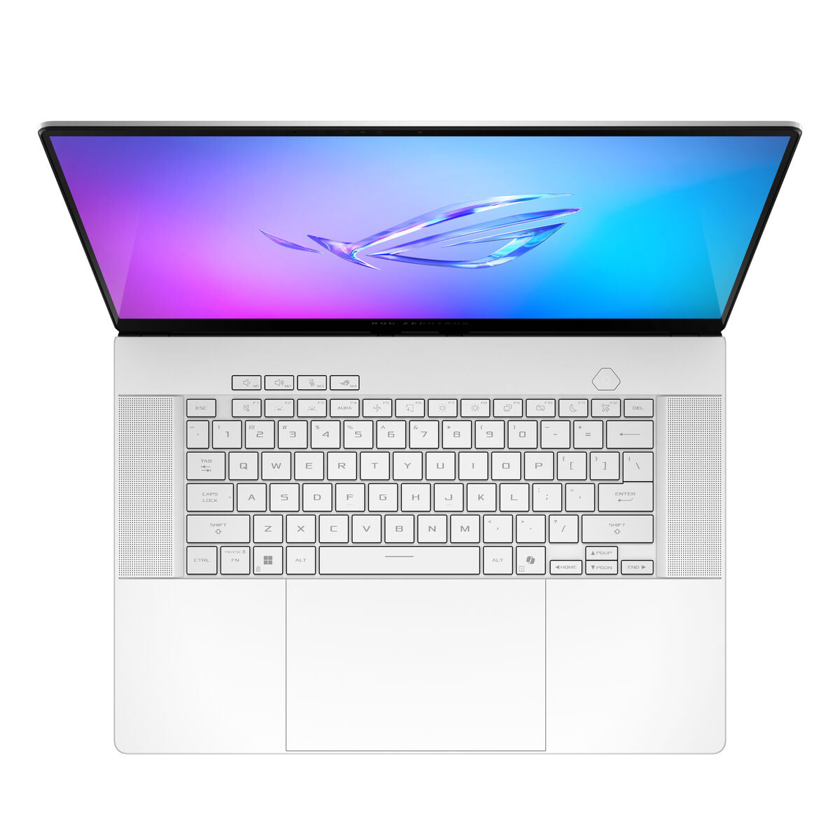 V4HFFC4D77B0E551841D4260DFD4EE13D6FR7042553P5