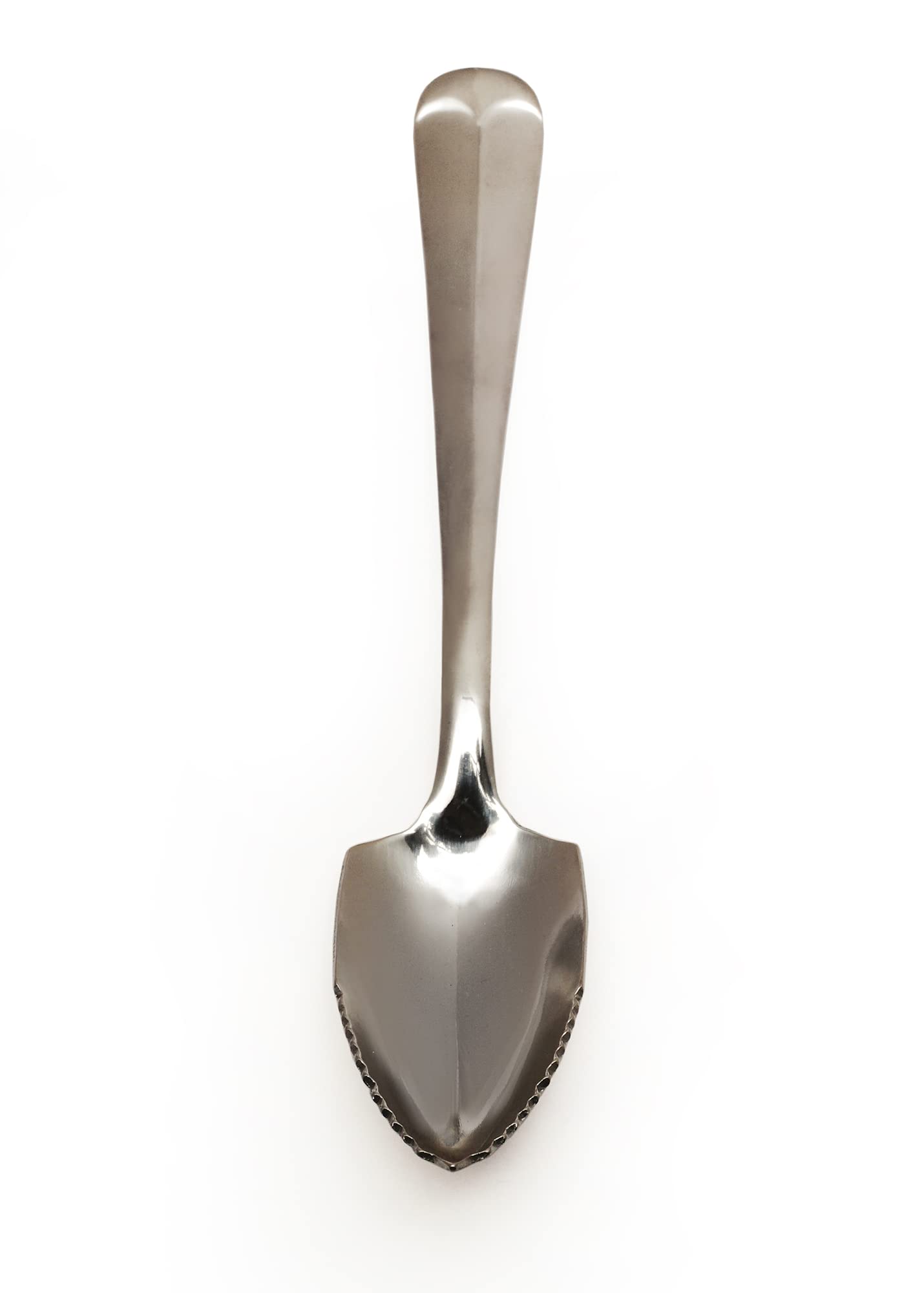 RSVP International Endurance Grapefruit Tool Collection Stainless Steel, Dishwasher Safe, Spoon