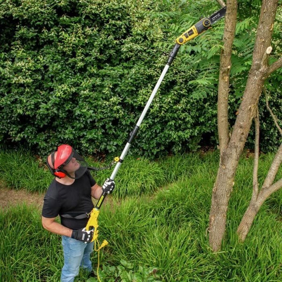 V2HCCF3E5E74BFA1C31F6E11470B3B01964R7424283P3