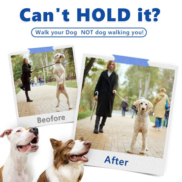 Supet Stachelhalsband für Hunde, verstellbares Würgehalsband mit Schnellverschluss für kleine, mittlere und große Hunde (inkl. einem zusätzlichen Glied)