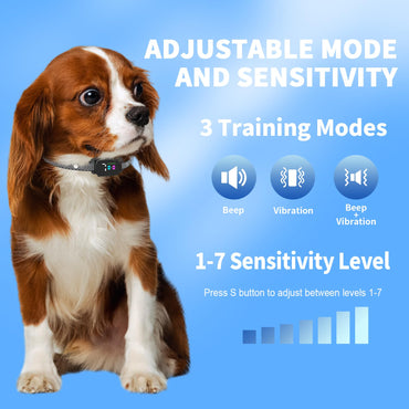 RICIVI Antibellhalsband für kleine Hunde, stromloses Antibellhalsband mit 7 Empfindlichkeitsstufen, 3 einstellbaren Modi (Piepton & Vibration), IP67 wasserdicht – effektiv und tierschonend, Premium Schwarz