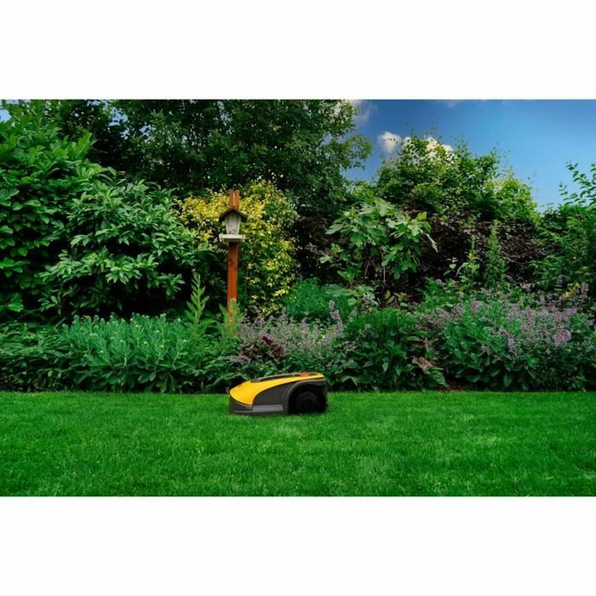 V2HC4CCFF6F0986FB250C54A94DBD545AEAR7287446P6