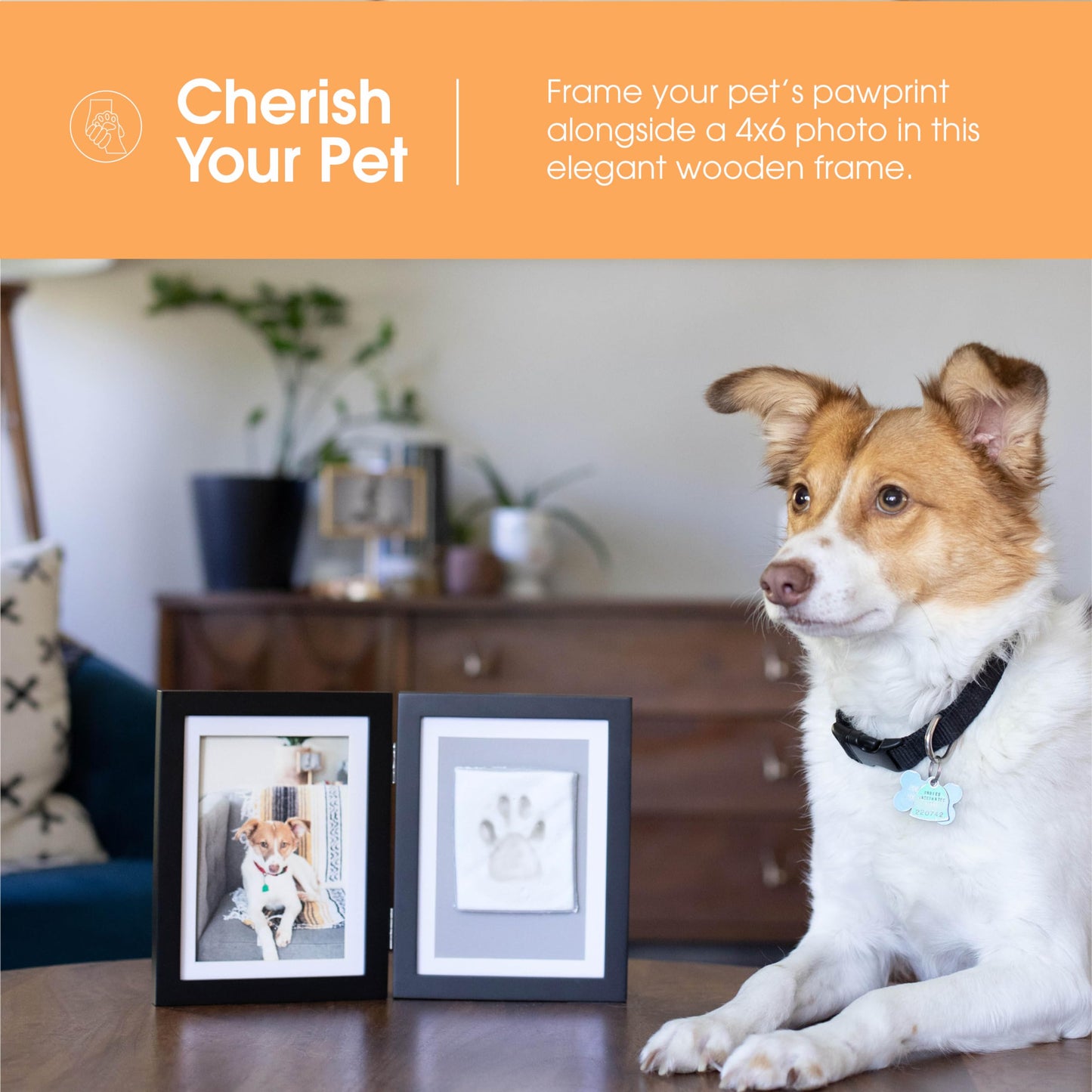 Pearhead Bilderrahmen für Haustierpfotenabdrücke mit Abdruckset aus Ton – Holzrahmen für Haustierpfotenabdrücke, DIY-Erinnerungsstück für Katzen und Hunde, saubere Knete für perfekte Pfotenabdrücke, ideale Dekoration und Geschenkidee, Schwarz