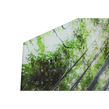 V5HAA19CF00DA1945D100EF7AFEA9E10735R6373239P2