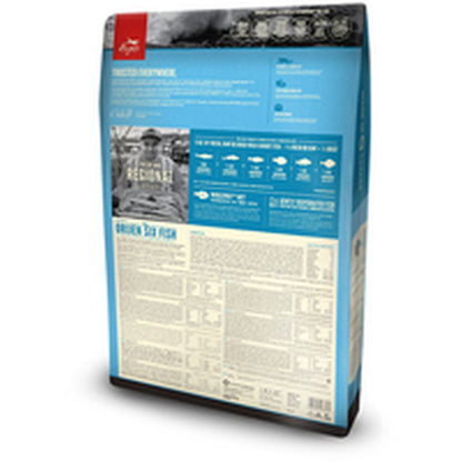 V8H7A178607B7964CD20C611A1DEFA8BB20R4218704P4