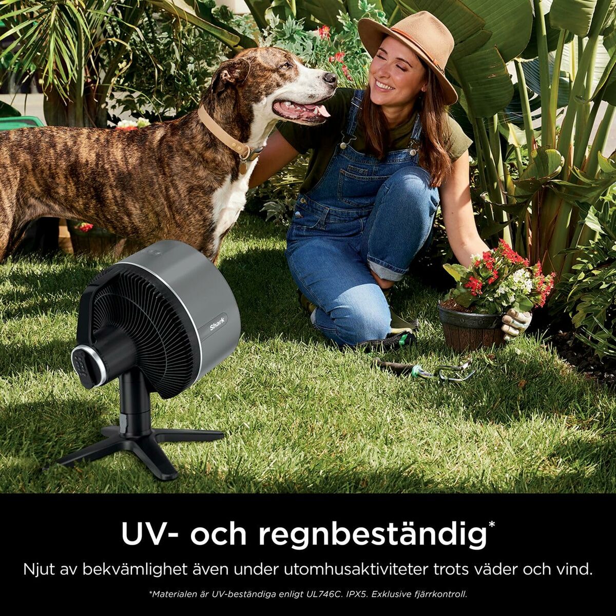 V3H3FB31EBDF9019C307ED121B345FA8CA6R6207009P9