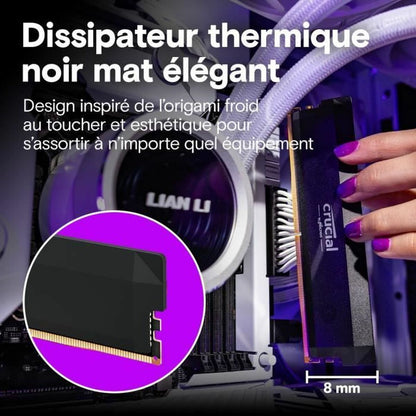 V5HC5F979FE3E85D0D35211311A38168C1ER6613616P4