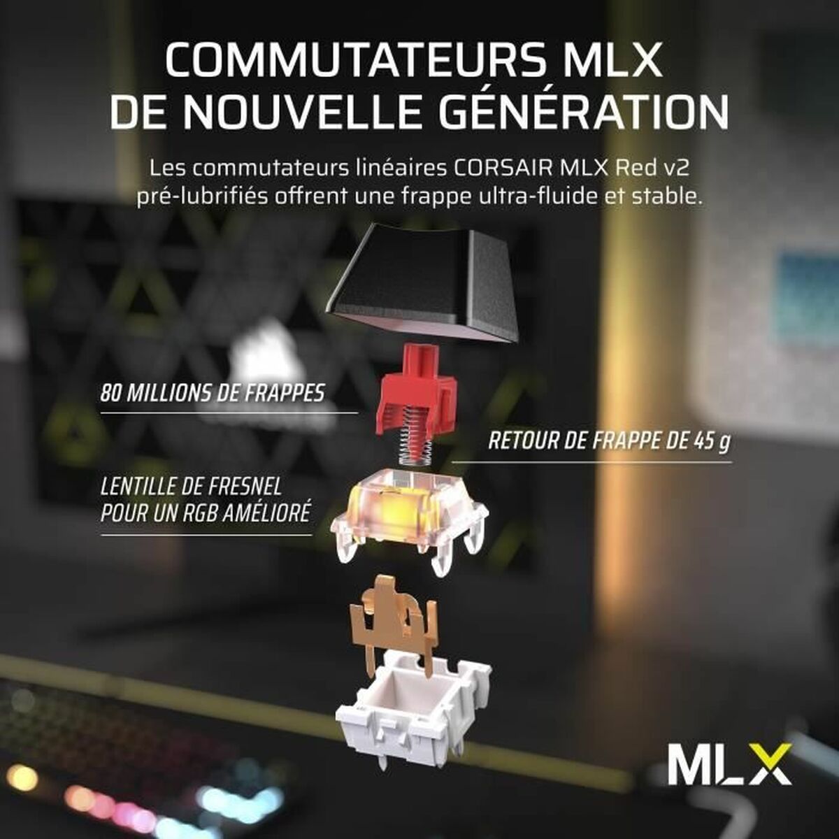 V5H388E905594C5B36B09E74DABCEE5DE4DR5336503P5