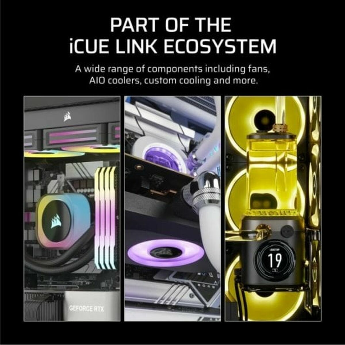 V3HCCF22121D884CAC5CDF185995E1FD279R6105318P9