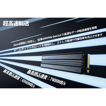 V6H3677B0033164188331DA175B36B79F3AR4612497P3