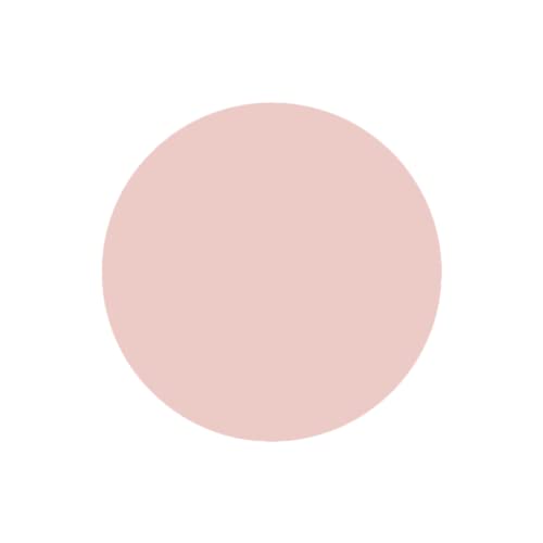 SABRENT 1TB Rocket Nano External Aluminum SSD Up to 1000MB/s (Pink) (SB-1TB-NANO-PNK)