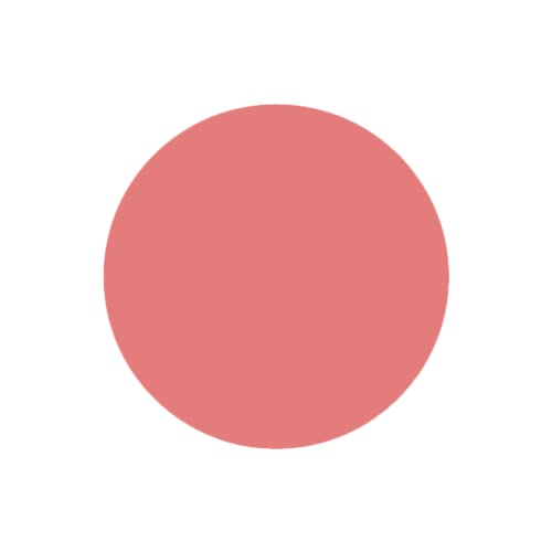 SABRENT 1TB Rocket Nano External Aluminum SSD Up to 1000MB/s (Pink) (SB-1TB-NANO-PNK)