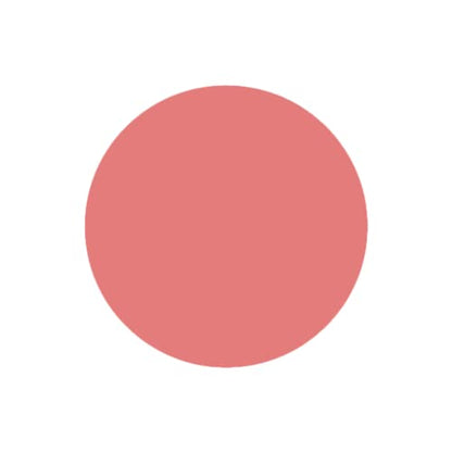 SABRENT 1TB Rocket Nano External Aluminum SSD Up to 1000MB/s (Pink) (SB-1TB-NANO-PNK)