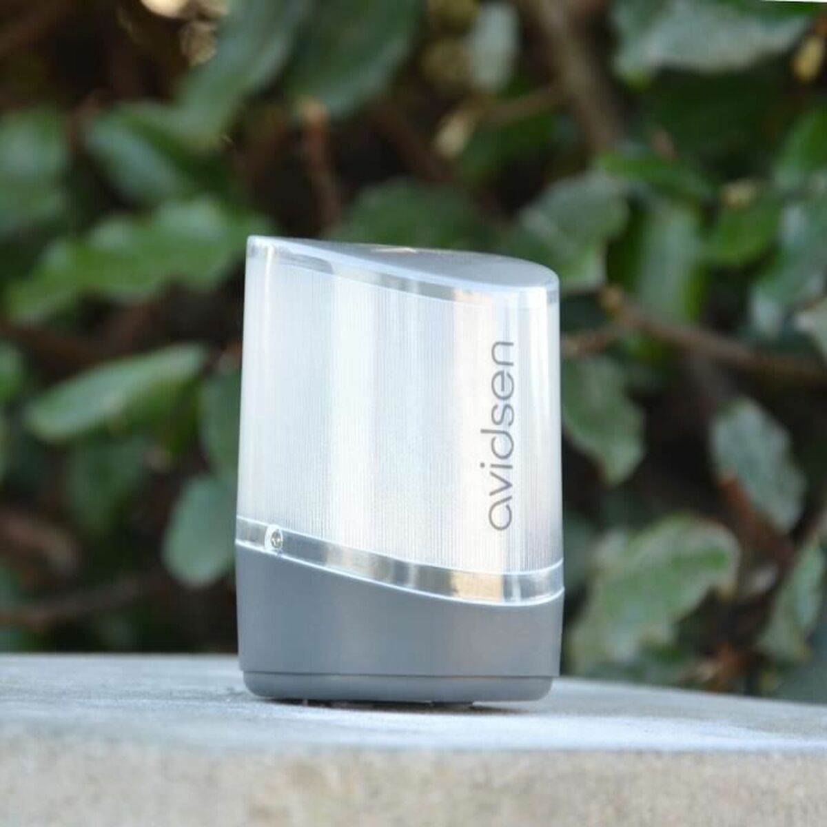 V2HB8C996BAB2E22897B0F5B448C5E51487R7202509P4