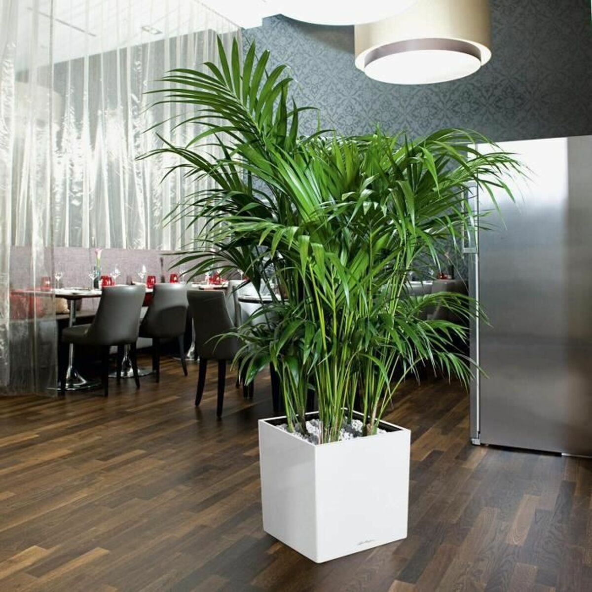 V5H8B62A9FED04D6161280174EBBA02ED80R7370380P3