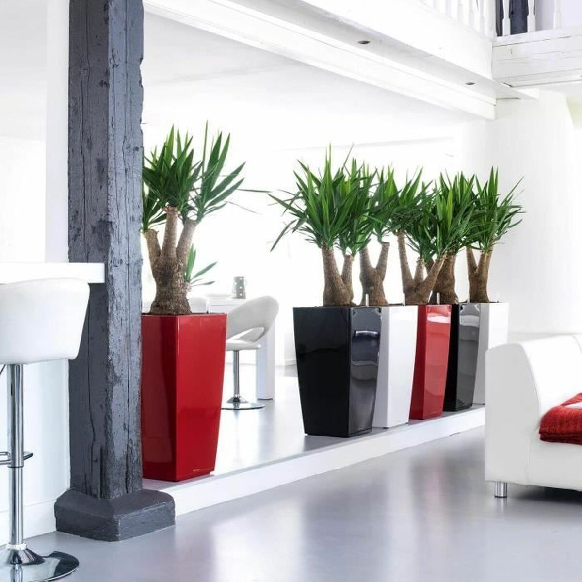 V4H078C65318EC79C0C5893657A6670434DR4287262P4