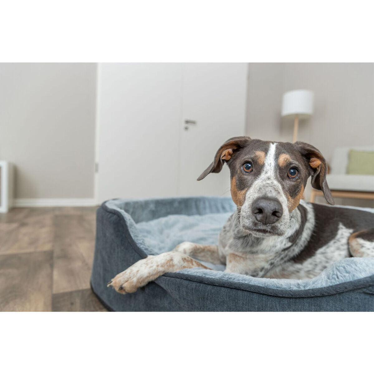 V4H539618F588FF2DBF063B843DF7D422E6R7472424P7