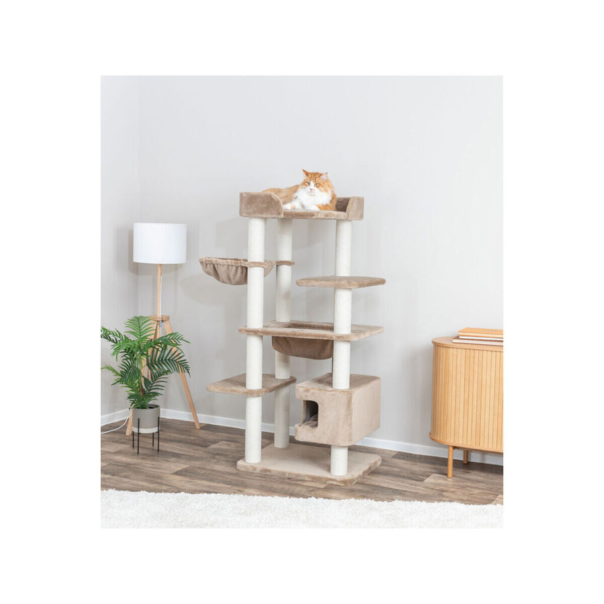 V2H862DBEBF1B26C0E8D7408D4714843C43R7639550P2