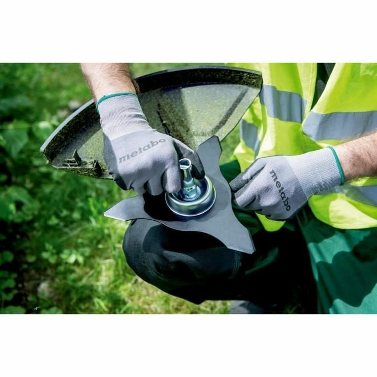 V4H6C5919C52FC6644E79D0C690C9DDEF7FR4895637P3