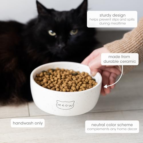Pearhead Ceramic Bowl, Holds 2 Cups, Cute Whisker-Friendly Dish with Cat Face Design, Non-Slip, Microwave and Dishwasher Safe, Small/Medium