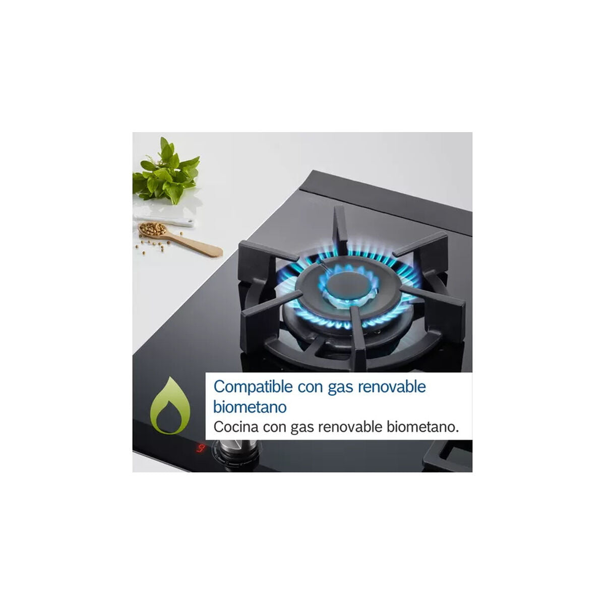 V5HAF56E7E0D8F4BB4A4B4200C63937DE2ER3625857P2