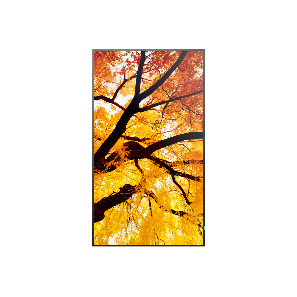 V2H15A614E4727623B6D1685010336360A5R7465289P8