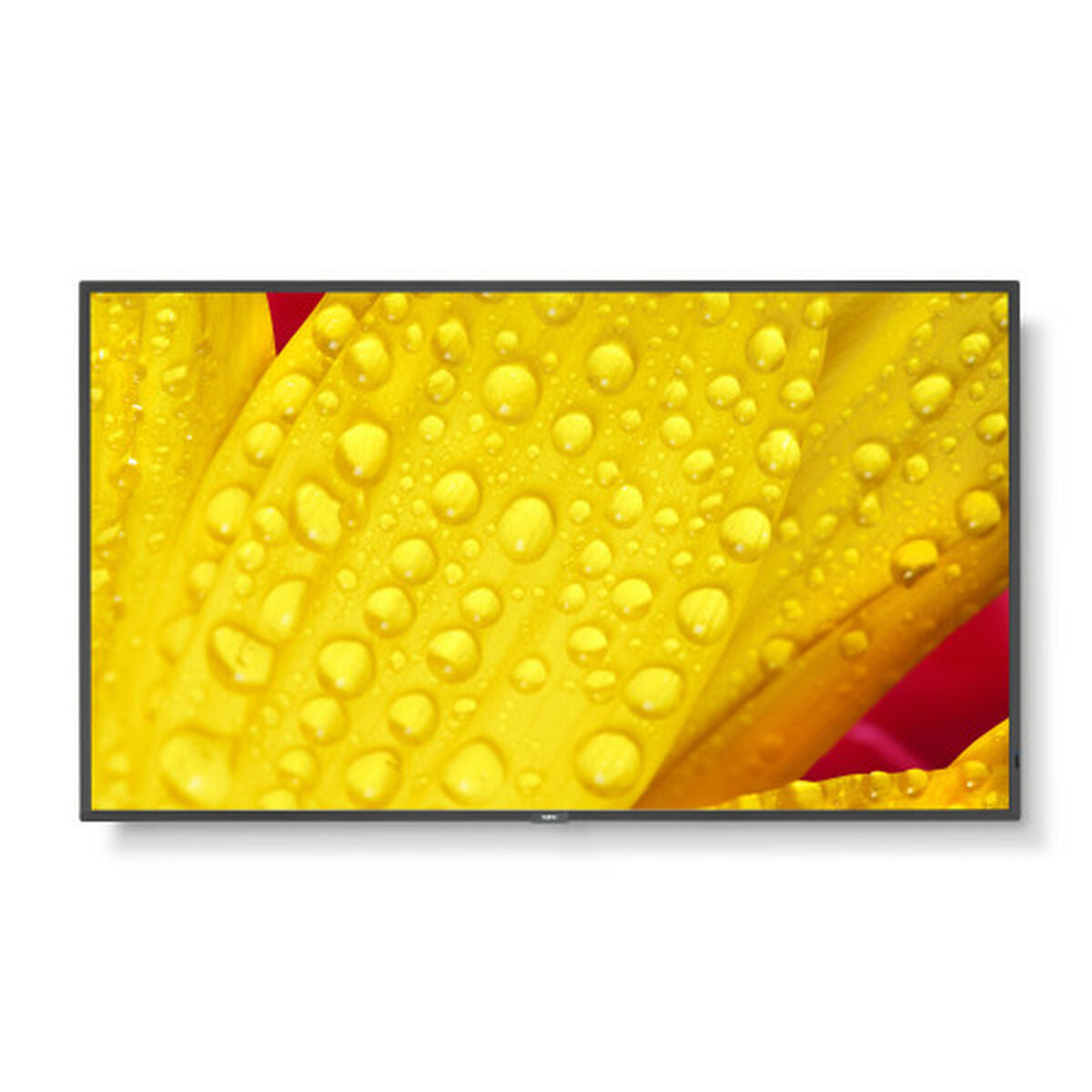 V3HA3774B8AEFFFAFD1AFBA5A84A81D5CCER7332282P1