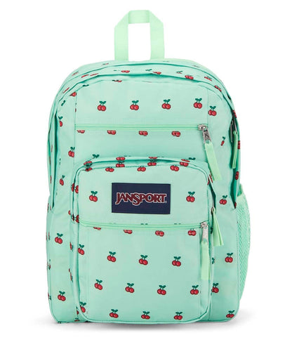 JanSport Laptop-Rucksack – Computertasche mit 2 Fächern, ergonomischen Schultergurten, 15-Zoll-Laptopfach, Tragegriff – Bücherrucksack – Erdbeer-Dusche 