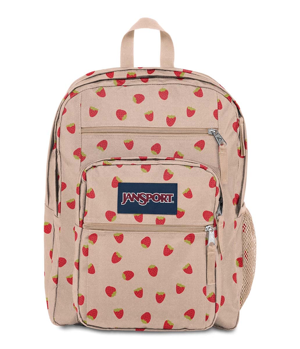 JanSport Laptop-Rucksack – Computertasche mit 2 Fächern, ergonomischen Schultergurten, 15-Zoll-Laptopfach, Tragegriff – Bücherrucksack – Erdbeer-Dusche 