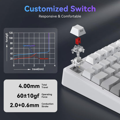 TECURS 75% Mechanische Tastatur für Gaming &amp; Büro, angenehmer Klang, Dichtungsmontage, Hot-Swap-fähige RGB-Hintergrundbeleuchtung, 81 Tasten für Laptop/PC/Mac, 2,4-GHz-/Bluetooth-/Kabelbetrieb, Farbverlauf Grau