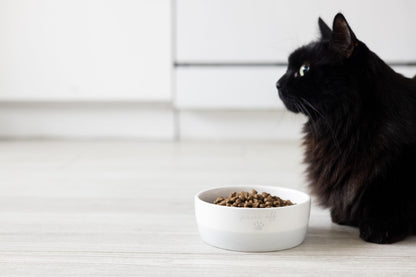 Pearhead Ceramic Bowl, Holds 2 Cups, Cute Whisker-Friendly Dish with Cat Face Design, Non-Slip, Microwave and Dishwasher Safe, Small/Medium