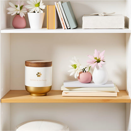 Pearhead Pet Ceramic Forever in Our Hearts Urn, Pet Memorial, Dog Or Cat Keepsake Urn, Rainbow Bridge, Gold