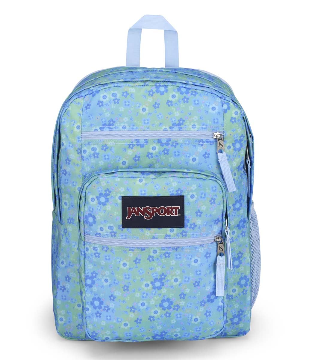 JanSport Laptop-Rucksack – Computertasche mit 2 Fächern, ergonomischen Schultergurten, 15-Zoll-Laptopfach, Tragegriff – Bücherrucksack – Erdbeer-Dusche 