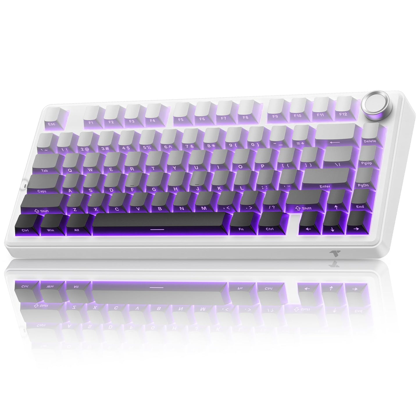 TECURS 75% Mechanische Tastatur für Gaming &amp; Büro, angenehmer Klang, Dichtungsmontage, Hot-Swap-fähige RGB-Hintergrundbeleuchtung, 81 Tasten für Laptop/PC/Mac, 2,4-GHz-/Bluetooth-/Kabelbetrieb, Farbverlauf Grau
