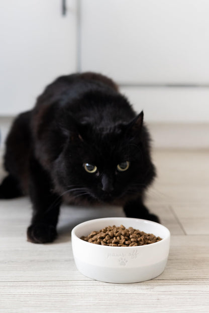 Pearhead Ceramic Bowl, Holds 2 Cups, Cute Whisker-Friendly Dish with Cat Face Design, Non-Slip, Microwave and Dishwasher Safe, Small/Medium