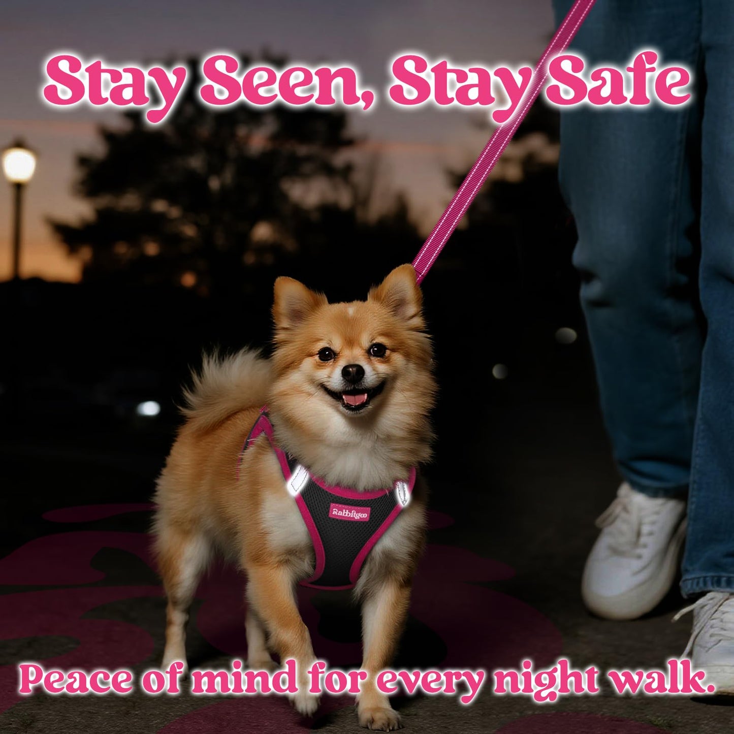 rabbitgoo Hundegeschirr und Leine, Größe S, atmungsaktives Einstiegsgeschirr, weiche, reflektierende Welpenweste für kleine Hunde, Schwarz &amp; Rosarot, Größe S