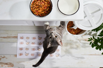 Pearhead Ceramic Bowl, Holds 2 Cups, Cute Whisker-Friendly Dish with Cat Face Design, Non-Slip, Microwave and Dishwasher Safe, Small/Medium