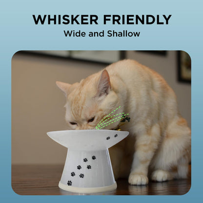 Necoichi Raised Cat Food Bowl - Ceramic Elevated Cat Bowl for Whisker & Neck Fatigue, Dishwasher Microwave Safe - Non-Slip & Anti Vomiting Ergonomic Design (Cats, Extra Wide, 2-Cups Capacity)