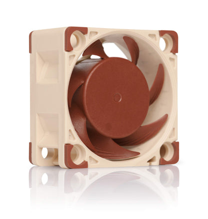 Noctua NF-A4x20 FLX Computergehäuselüfter - Kühlkomponenten (Computergehäuse, Lüfter, 4 cm, 3700 U/min, 5000 U/min, 4400 U/min)