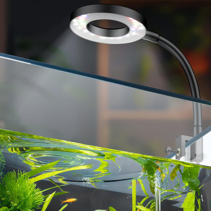 Pawfly 6 W LED-Aquarienleuchte für 1 bis 5 Gallonen Aquarien, Clip-On-Aquarienleuchte, USB-betriebene Aquariumlampe mit Vollspektrum, dimmbare weiße, blaue, rote und grüne Lichter mit Timer (Adapter nicht im Lieferumfang enthalten)