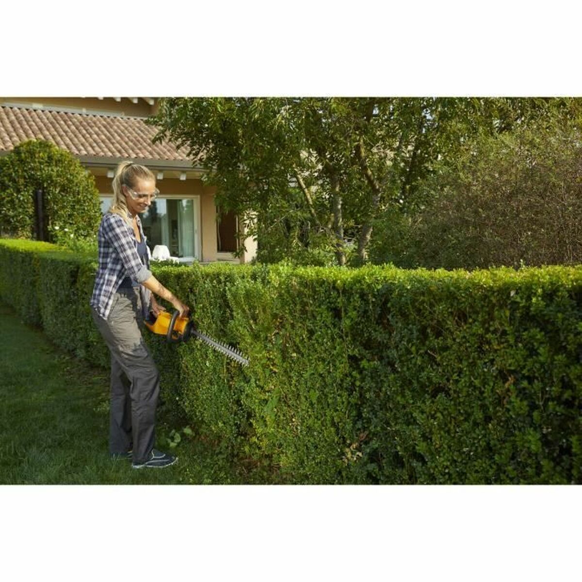 V7HF31A73E86D2B31E129CDA0EC151B4262R6248537P3