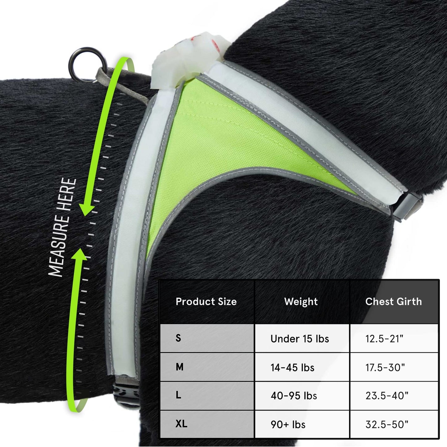 Noxgear LightHound - Revolutionary Illuminated and Reflective Harness for Dogs Including Multicolored LED Fiber Optics (USB Rechargeable, Adjustable, Lightweight, Rainproof) (Large)