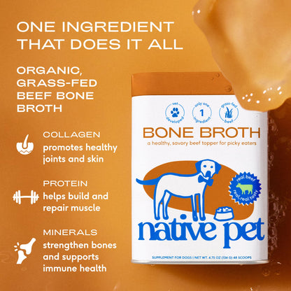 Native Pet Bone Broth for Dogs - Made with Real Beef Bone Broth, Dog Food Toppers for Picky Eaters - Provides Extra Hydration & Nutrition for Joint Strength, Immunity & Heart Health-48 Scoops