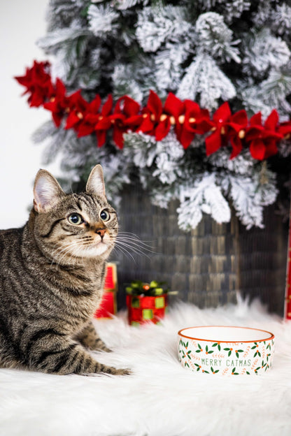 Pearhead Ceramic Bowl, Holds 2 Cups, Cute Whisker-Friendly Dish with Cat Face Design, Non-Slip, Microwave and Dishwasher Safe, Small/Medium