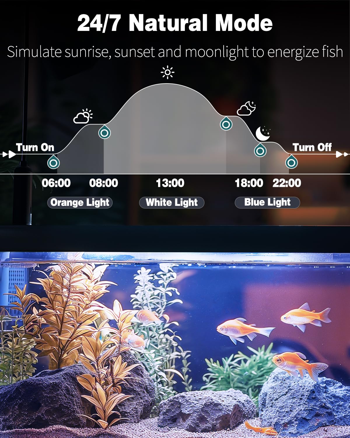 Pawfly 5 W Aquarium-LED-Leuchte 8 Zoll, 24/7-Aquarienbeleuchtung mit Vollspektrum, brillanten weißen, blauen, roten und grünen Lichtern, mehrfarbigen LEDs mit Tag/Nacht-Modus, Einzelfarbeffekten, Timer und einstellbarer Helligkeit