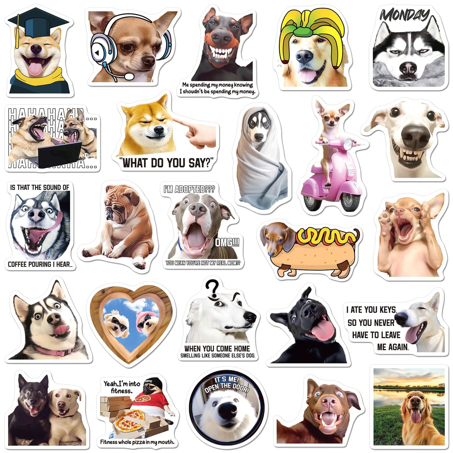 SigyoJeom 200PCS Funny Dog Meme Stickers for Laptop, Puppy Funny Stickers for Adults Teenagers Dogs Sticker Pack Water Bottles Phone Case Meme Pets Dogs Party Decal for Dog Lovers