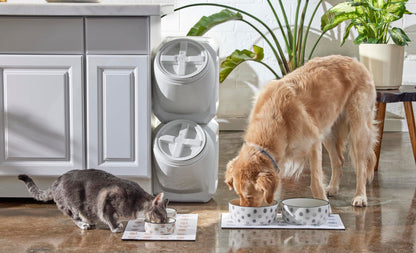 Pearhead Ceramic Bowl, Holds 2 Cups, Cute Whisker-Friendly Dish with Cat Face Design, Non-Slip, Microwave and Dishwasher Safe, Small/Medium