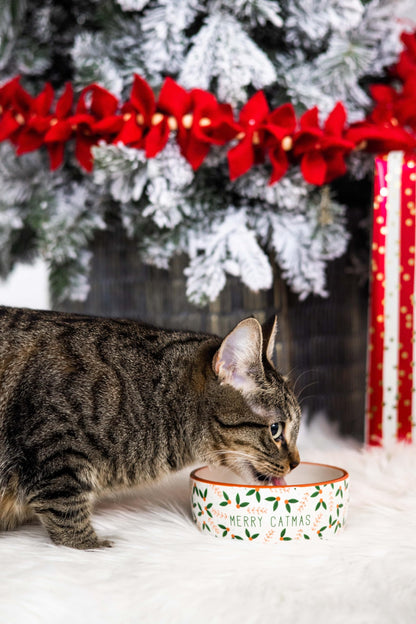 Pearhead Ceramic Bowl, Holds 2 Cups, Cute Whisker-Friendly Dish with Cat Face Design, Non-Slip, Microwave and Dishwasher Safe, Small/Medium