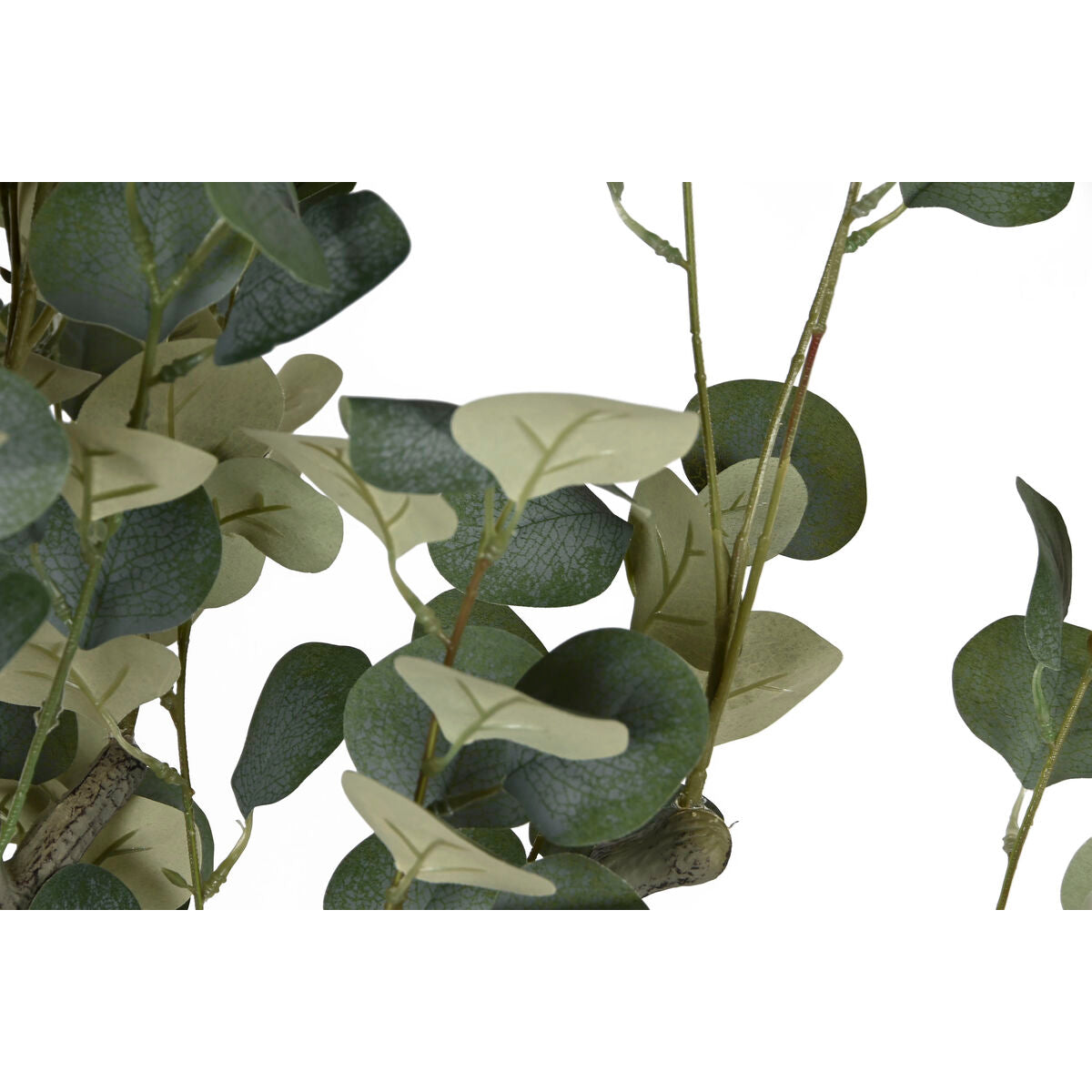 V6H535DC12B0796A515D673EDF556100D29R3881954P2